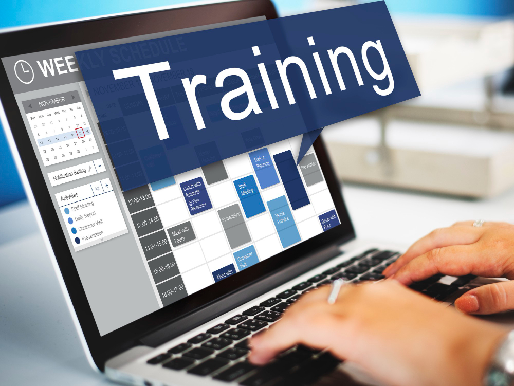 5 Factors to Consider In Your Organizational Training Plan