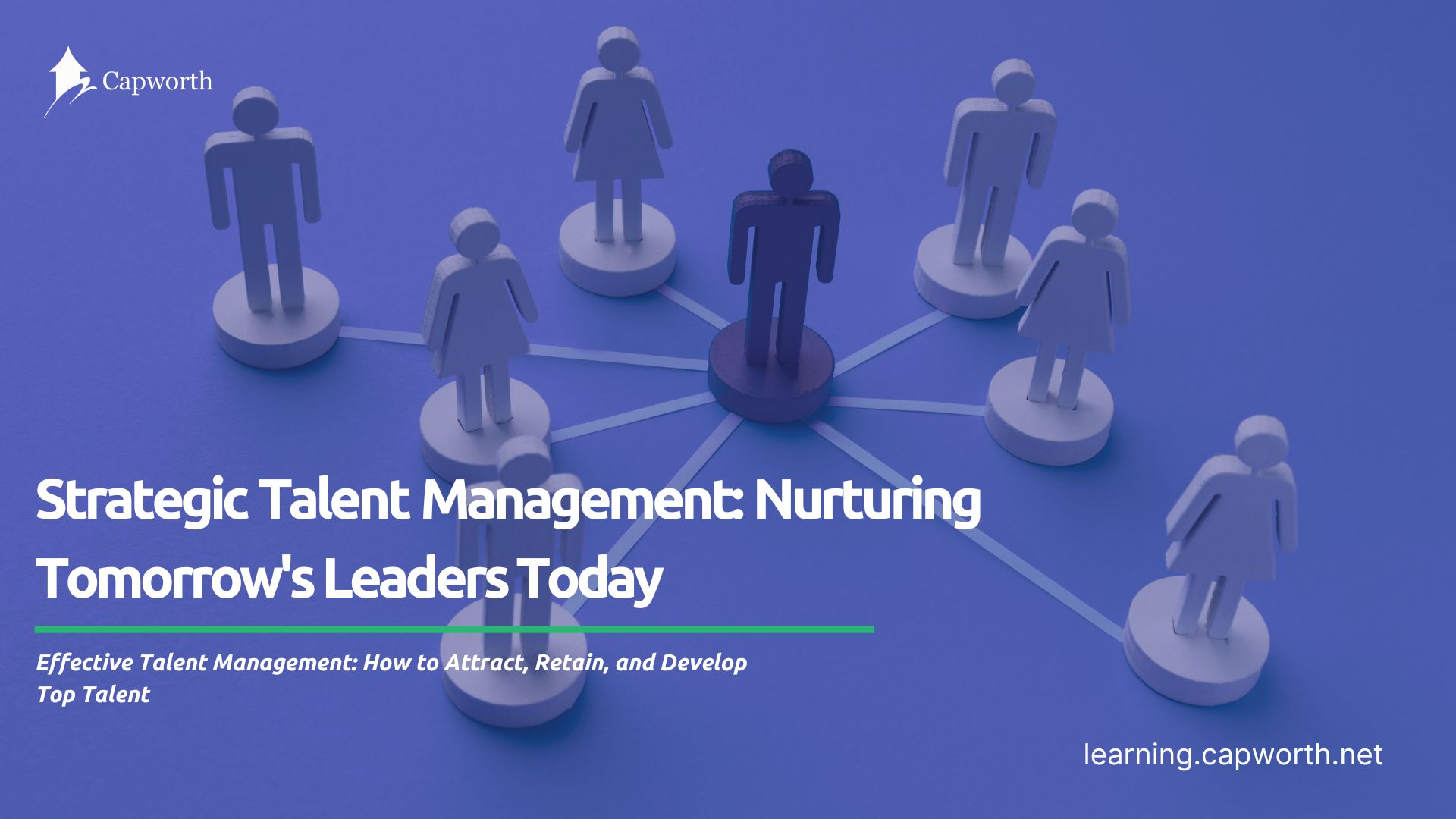 Read more about the article Strategic Talent Management: Nurturing Tomorrow’s Leaders Today